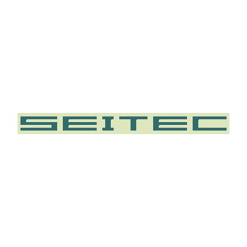 SEITEC 8GBKIT 2x4GBDDR3 SDRAM PC3-10600 1333MHz CL9