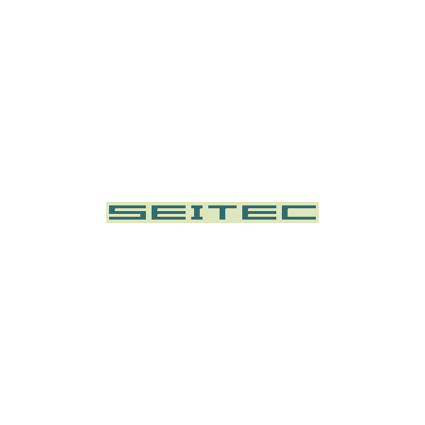 SEITEC 2GB Modul DDR2 SDRAM PC5300667MHz CL5 10Jahre H SEITEC 2GB Modul DDR2 SDRAM PC5300667MHz CL5 10Jahre H