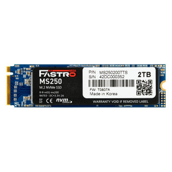 MegaFastro SSD 1TB MS250 Series PCI-Express NVMe intern retail