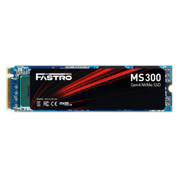 MegaFastro SSD 2TB MS300 Series PCI-Express NVMe intern retail