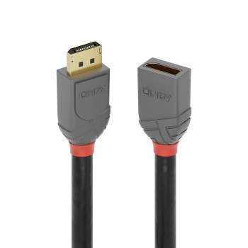 Lindy 36497 kabel DisplayPort 2 m Czarny