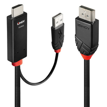 Lindy 41498 adapter kablowy 1 m HDMI + USB Type-A DisplayPort Czarny