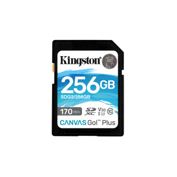 Kingston Technology Canvas Go! Plus 256 GB SD UHS-I Klasa 10