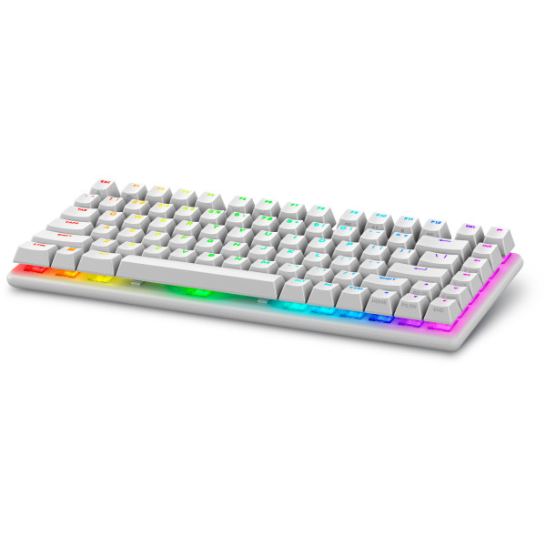 Alienware Pro Wireless Gaming Keyboard klawiatura USB + RF Wireless + Bluetooth Biały Alienware Pro Wireless Gaming Keyboard klawiatura USB + RF Wireless + Bluetooth Biały