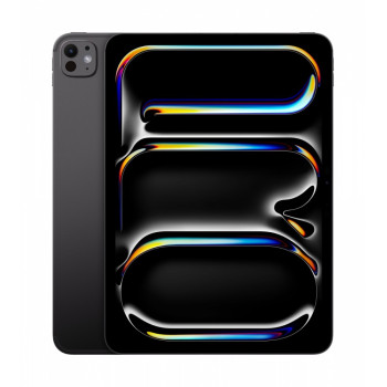 iPad Pro 11 cali Wi-Fi + Cellular 1TB - Gwiezdna czerń