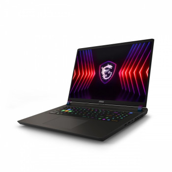 Notebook Vector 17 HX A13VHG-834PL WIN11/i9-13980HX/32GB/1TB/RTX4080/17.0