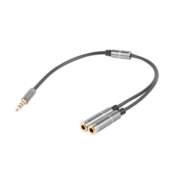 GENESIS A20 kabel audio 0,2 m 3.5mm Czarny, Srebrny
