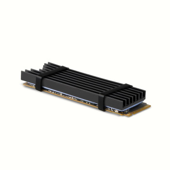 Axagon CLR-M2L6 system chłodzenia komputerów Dysk SSD Radiator Czarny