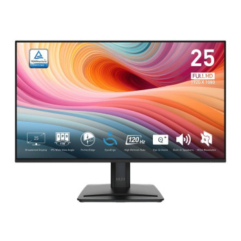 Monitor PRO MP251 E2 24.5 cala LED/FHD/Flat/120Hz/Black