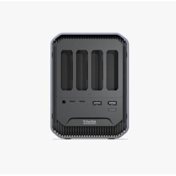 Sandisk Pro Dock 4 Wired Thunderbolt 3 Graphite