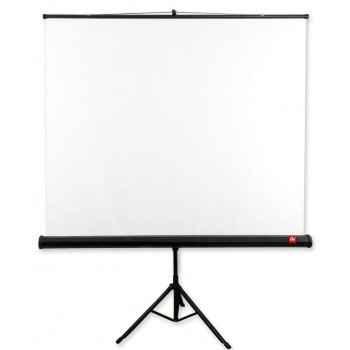 Ekran na statywie Tripod Standard 200 (1:1, 200x200cm, powierzchnia biała, matowa)