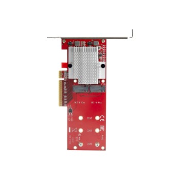 StarTech.com Dual M.2 PCIe SSD Adapter Karte - x8 / x16 Dual NVMe oder AHCI M.2 SSD zu PCI Express 3.0 - M.2 NGFF PCIe (M-Key)