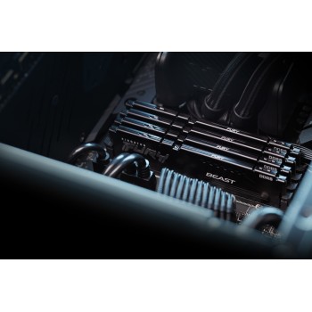 Kingston FURY Beast - DDR5 - Kit - 128 GB: 4 x 32 GB