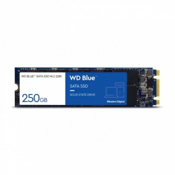 Blue SSD 250GB SATA M.2 2280 WDS250G2B0B