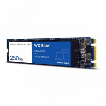 Blue SSD 250GB SATA M.2 2280 WDS250G2B0B