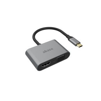 Akasa Usb Type-C 2-In-1 Adapter