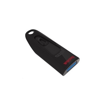 SanDisk Flash Disk 256GB Ultra, USB 3.0, černá