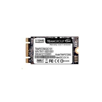 Team SSD M.2 256GB, MS30 2242 (550/470 MB/s)