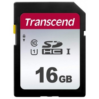 Karta pamięci SDHC 300S 16GB Class10 V30 95/10 MB/s
