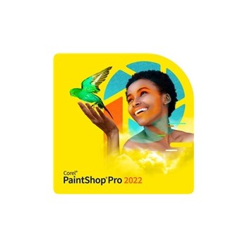 PaintShop Pro 2022 Corporate Edition License Single User - Windows EN/DE/FR/NL/IT/ES