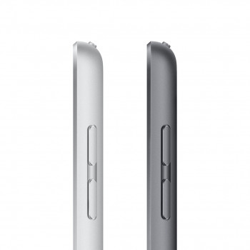 Apple iPad Wi-Fi + LTE 256GB Space Gray (2021)