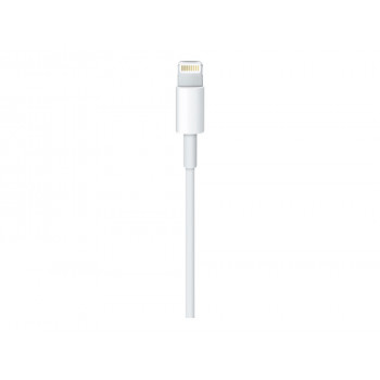 Apple Lightning-Kabel - Lightning / USB 2.0 - 1 m