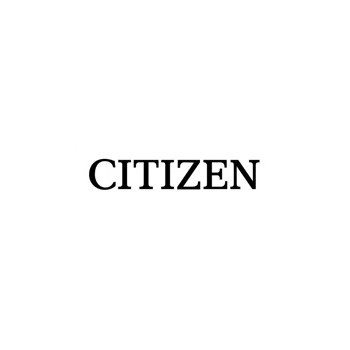 Citizen interface, WiFi