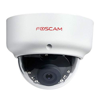 Foscam D2EP, surveillance camera (white, 2 megapixels, PoE)