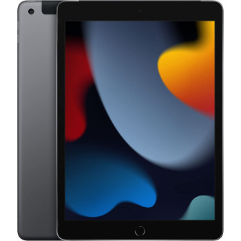 APPLE iPad 10.2 WiFi + Cell 9th Gen 256GB grey - MK4E3FD / A