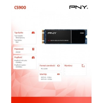 Dysk SSD 250GB M.2 CS900 M280CS900-250-RB