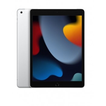 iPad 10.2 cala Wi-Fi + Cellular 256GB - Srebrny
