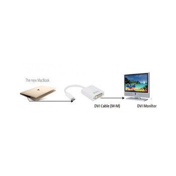 Techly IADAP USB31-DVI zewnętrzna karta graficzna usb Biały