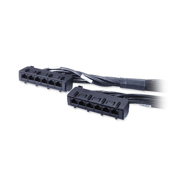 APC 29ft Cat6 UTP, 6x RJ-45 - 6x RJ-45 kabel sieciowy Czarny 8,84 m U UTP (UTP) APC 29ft Cat6 UTP, 6x RJ-45 - 6x RJ-45 kabel sieciowy Czarny 8,84 m U UTP (UTP)