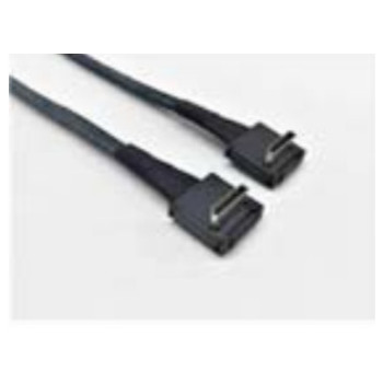 Intel AXXCBL620CRCR kabel SAS 0,62 m Czarny
