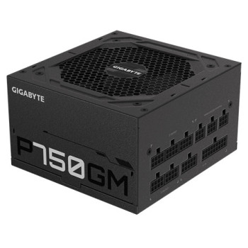 Gigabyte P750GM moduł zasilaczy 750 W 20+4 pin ATX ATX Czarny