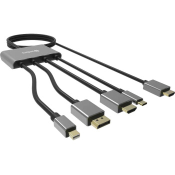 Sandberg 509-21 adapter kablowy 2 m HDMI Typu A (Standard) DisplayPort + Mini DisplayPort + HDMI + USB Type-C Czarny