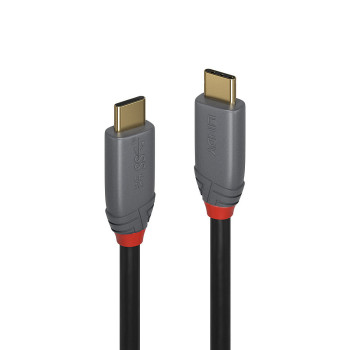 Lindy 36901 kabel USB 1 m USB C Czarny, Szary