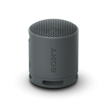 Sony SRS-XB100 Głośnik mono przenośny Czarny