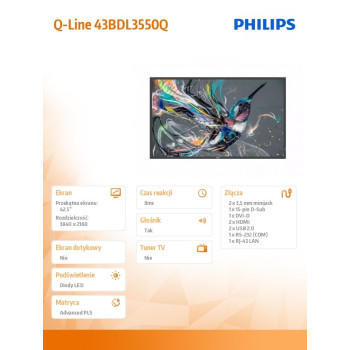 Monitor wielkoformatowy Q-Line 43BDL3550Q 43 cale