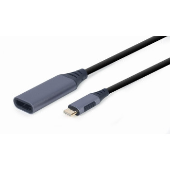 Adapter USB-C to DisplayPort