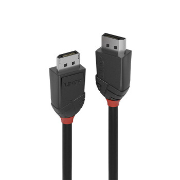 Lindy 36491 kabel DisplayPort 1 m Czarny