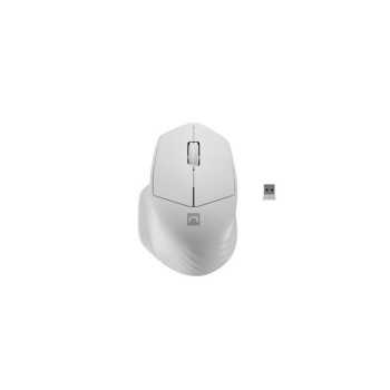 Mysz bezprzewodowa Natec Siskin 2 optyczna 1600 DPI BT 5.0 + 2.4 GHz biała
